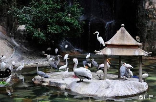 鼓浪屿日光岩观看鼓浪屿视频,鼓浪屿日光岩门票鼓浪屿联票