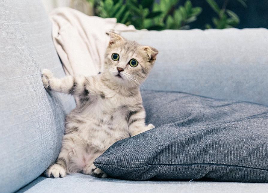 2019梅雨时节,梅雨时节来临