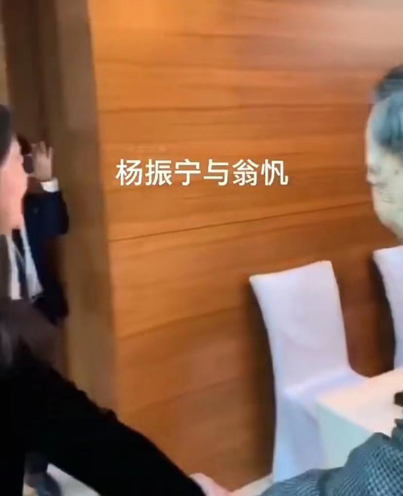 杨振宁与翁帆参加画展,和杨振宁结婚后翁帆的事业状况