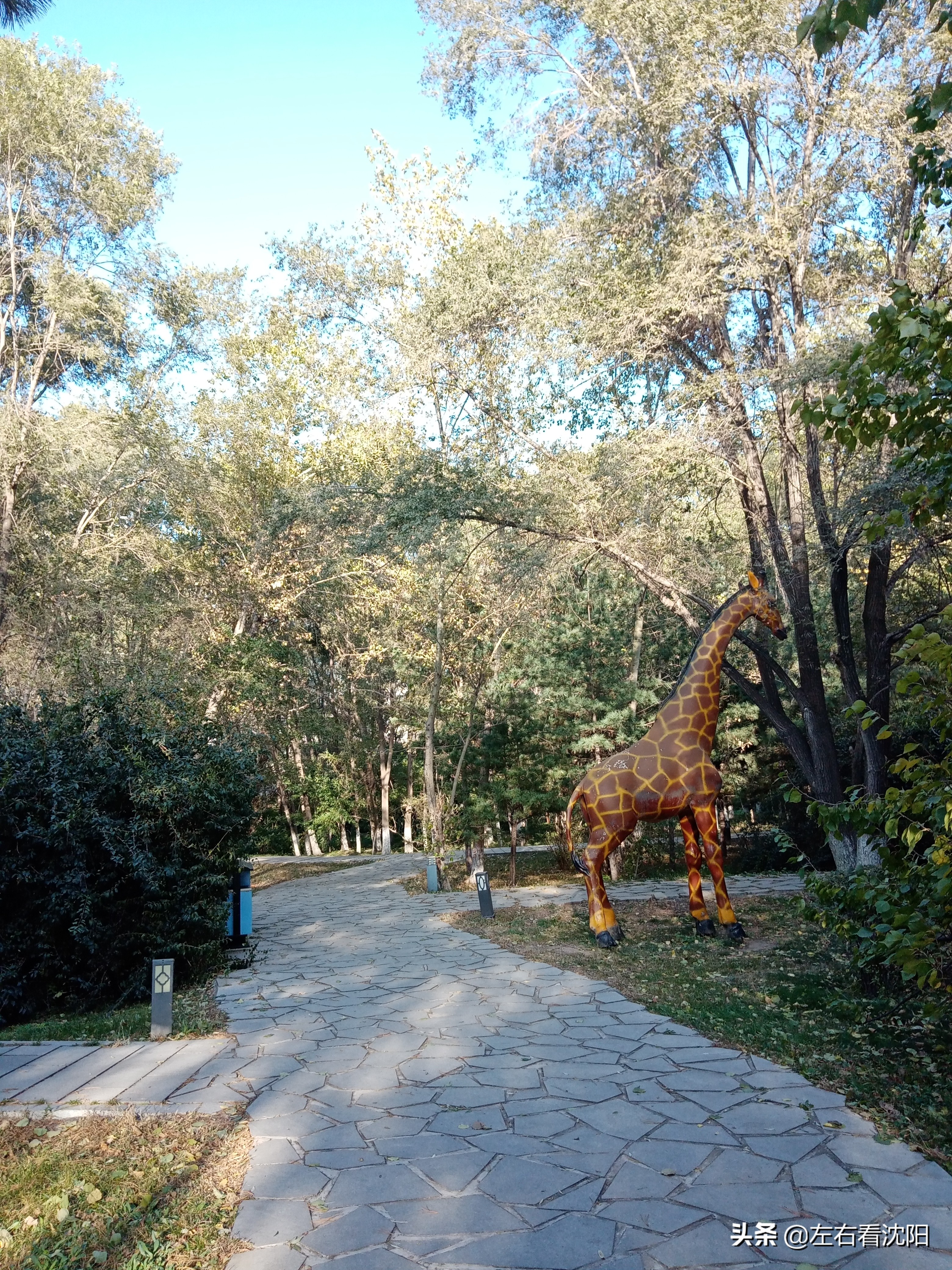 沈阳沈水湾公园看日出,沈阳浑河看海的地方