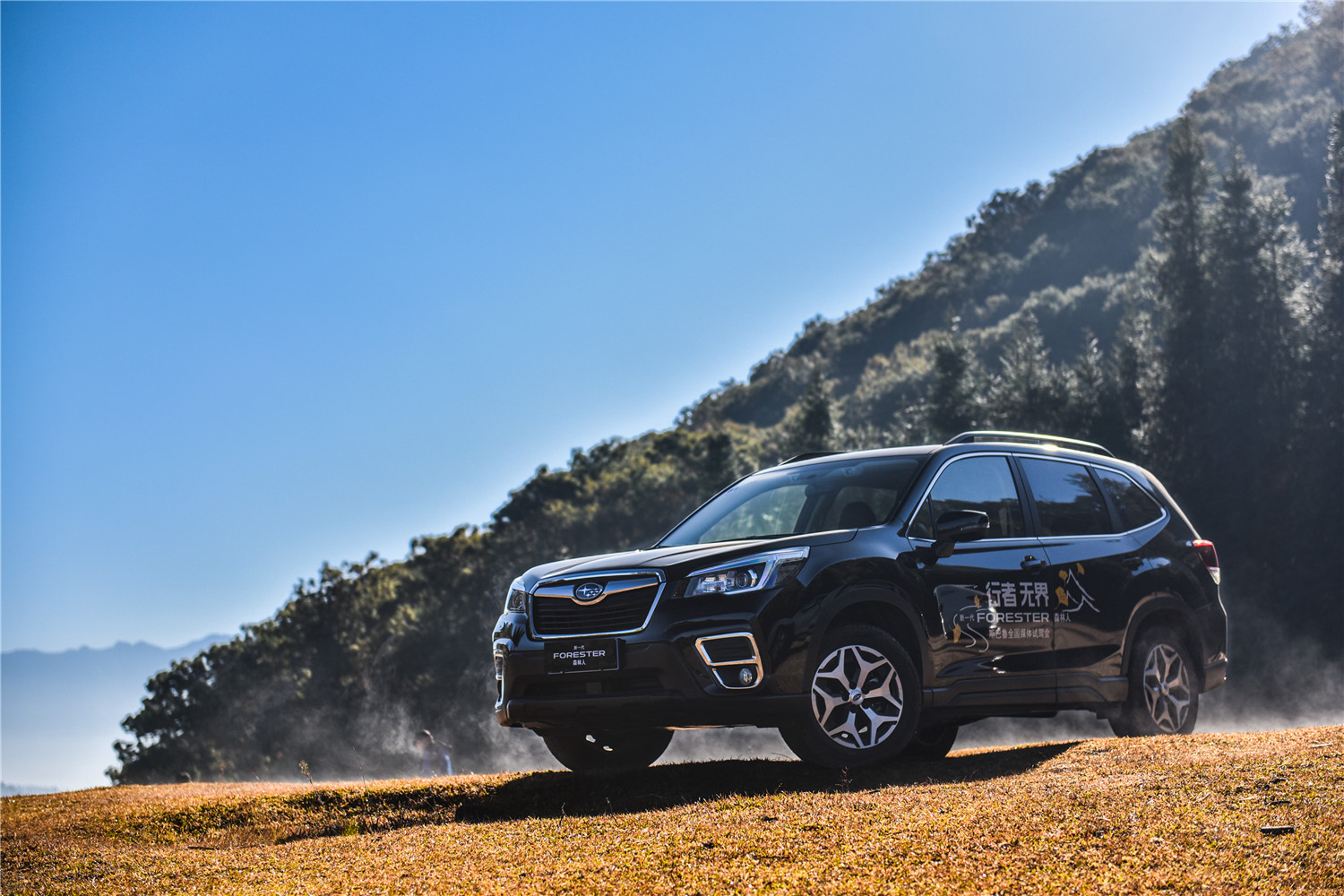 2.0自吸cvt的车能买吗,2.0cvt森林人