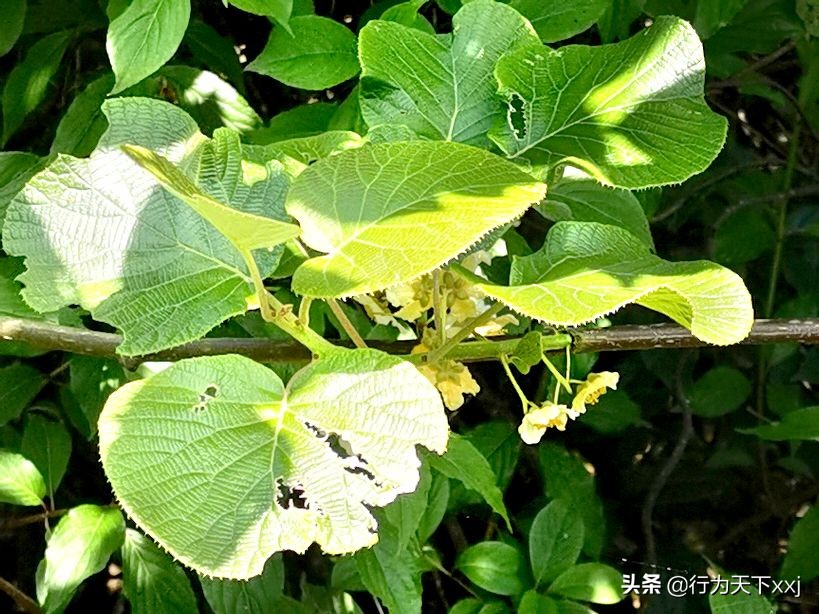 「追梦高山上的禅悟」探秘“南鳌太”越城岭，打卡鬼崽石