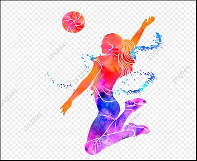 缇庡浗濂虫帓濮戝,缇庡浗濂虫帓鐨勫コ闃熷憳