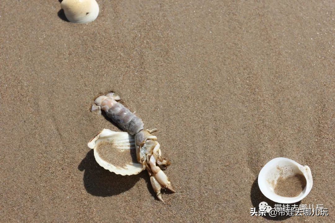 阿那亚民宿亲子游,阿那亚亲子游记2021