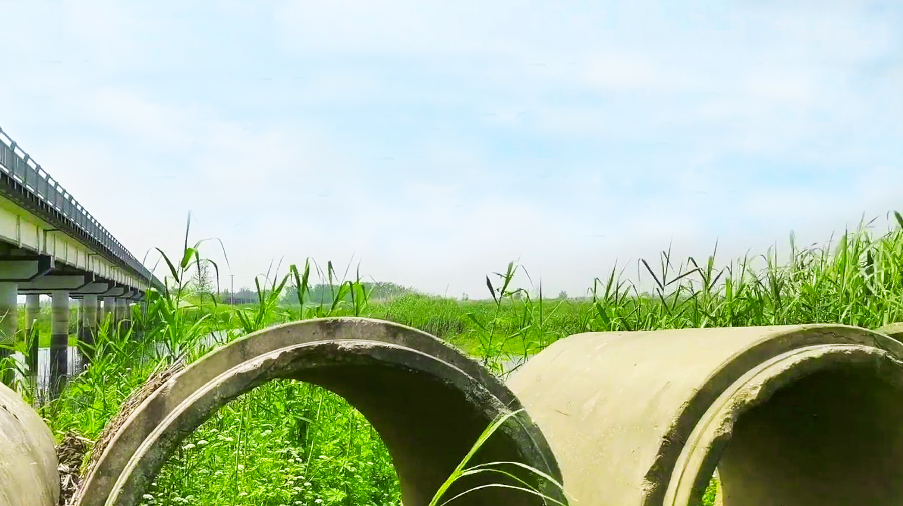 绿水蓝天青草地，打卡湖北武汉郊区黄丝河，宛若油画里的场景