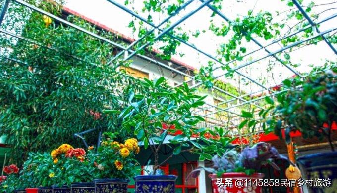 北京周边度假民宿推荐青龙湖,北京绝美人间仙境风景民宿