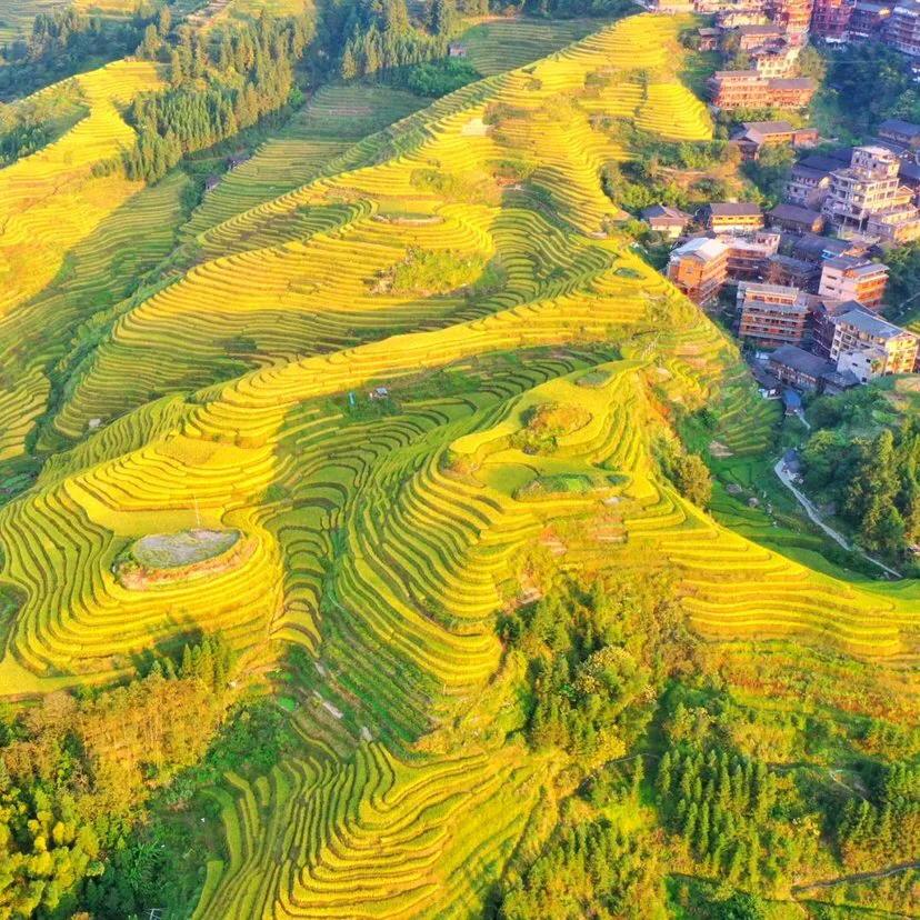 桂林旅游十大坑人景点,桂林旅游必去的十大景点攻略