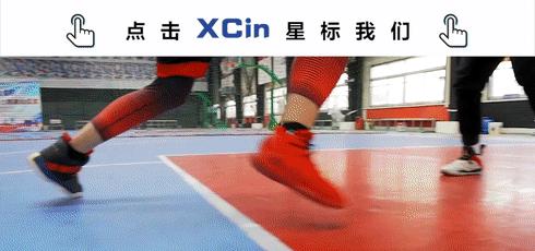 lebron詹姆斯狮子标球鞋,lebronwitness5詹姆斯实战篮球鞋