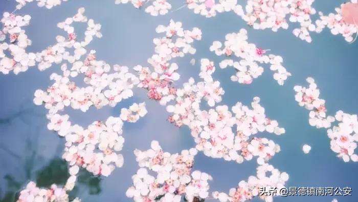 十首催泪诗词,6首很经典的伤感诗词赏读