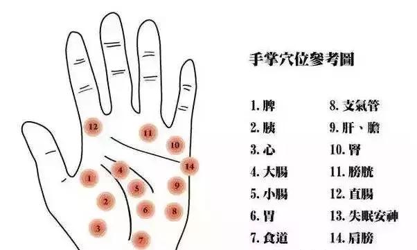 核桃手串一直盘玩还会生虫吗,把玩核桃手串要怎么盘