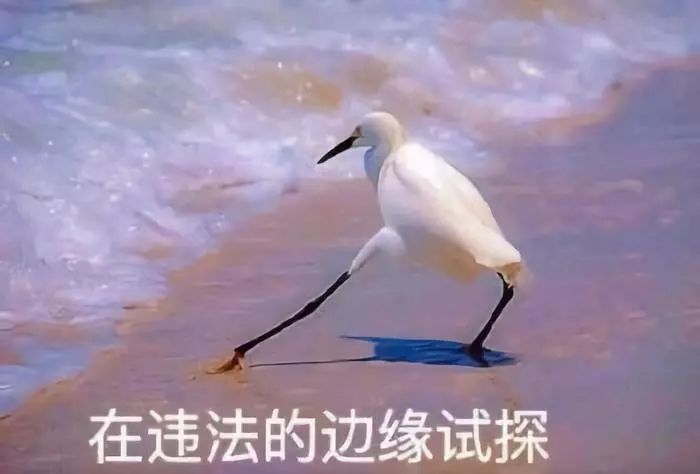 当我们“薅羊毛”，我们薅的是什么…