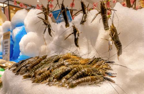 全上海性价比超高的七家海鲜自助,揭秘上海海鲜自助