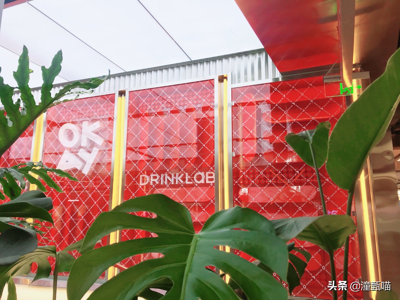 不会玩滑板但爱街头范，爱奶茶又想玩不一样花样，来这统统满足你