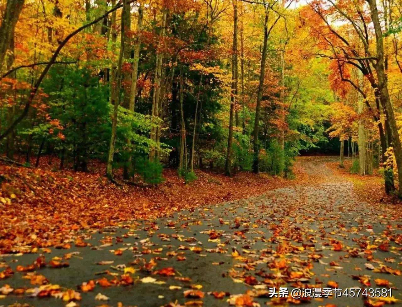 却道天凉好个秋散文800字,天凉好个秋散文500字