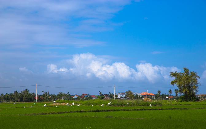 华人在越南经济地位,华人在越南的历史