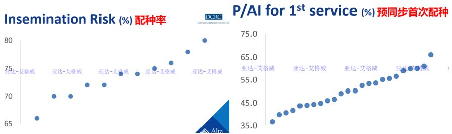多多牧场高产奶牛的寿命,奶牛生产前有哪些症状