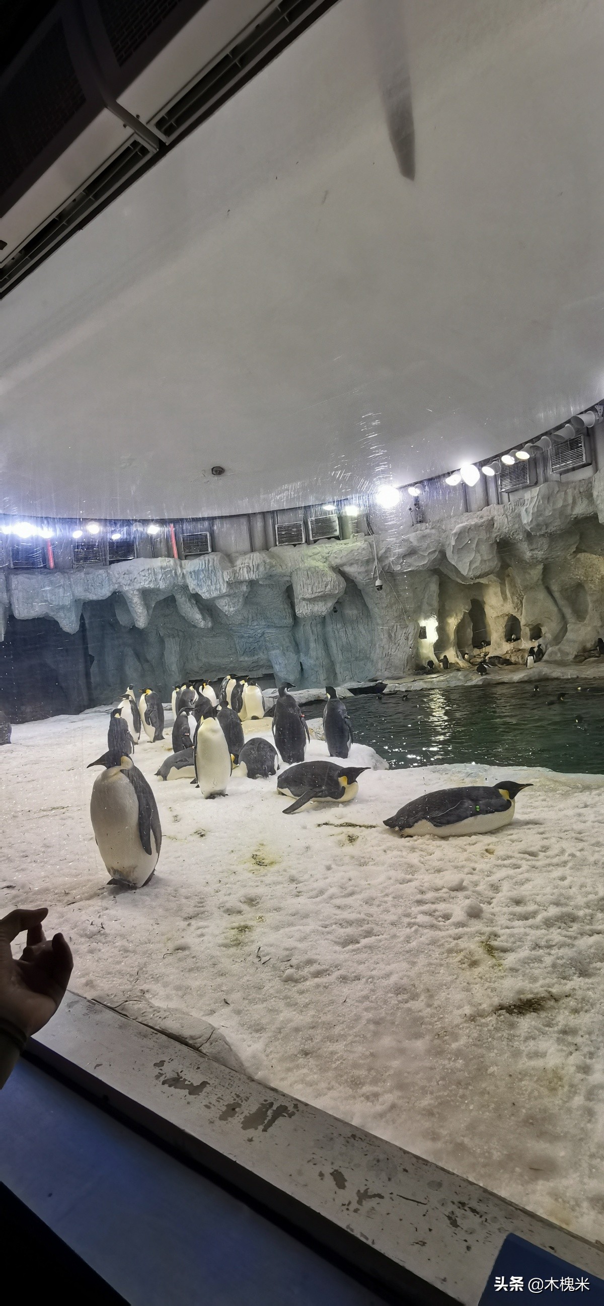 珠海长隆附近美食,珠海长隆海洋王国海底世界