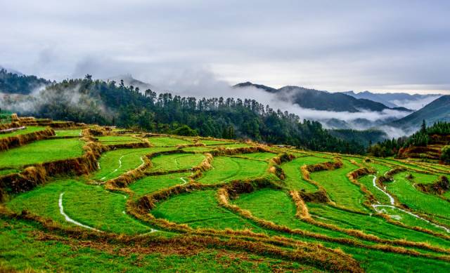广东旅游攻略自驾游最佳路线,广东旅游攻略自驾游带孩子三天