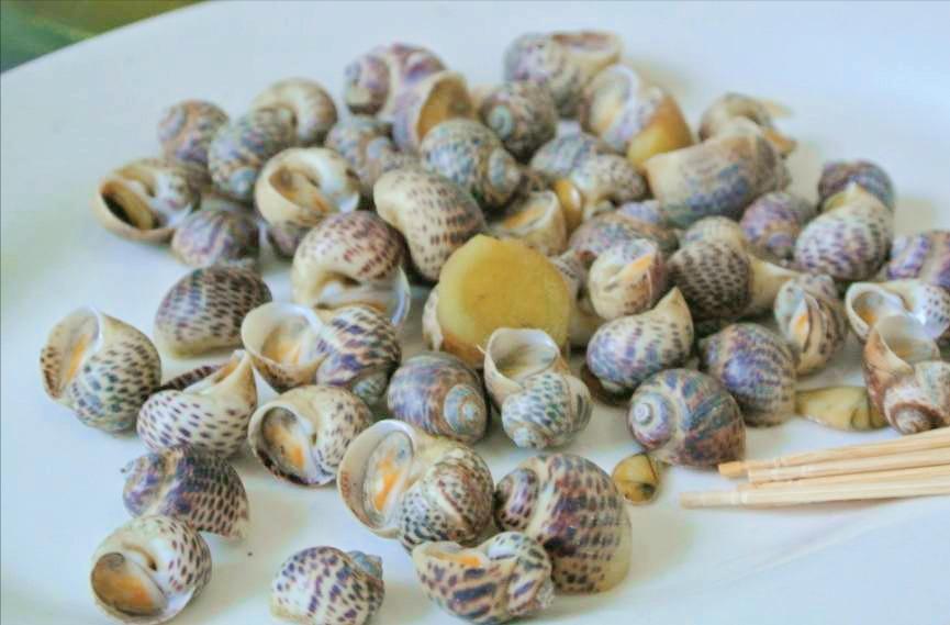 喜宴海鲜自助菜谱,广东海鲜宴席菜单菜谱