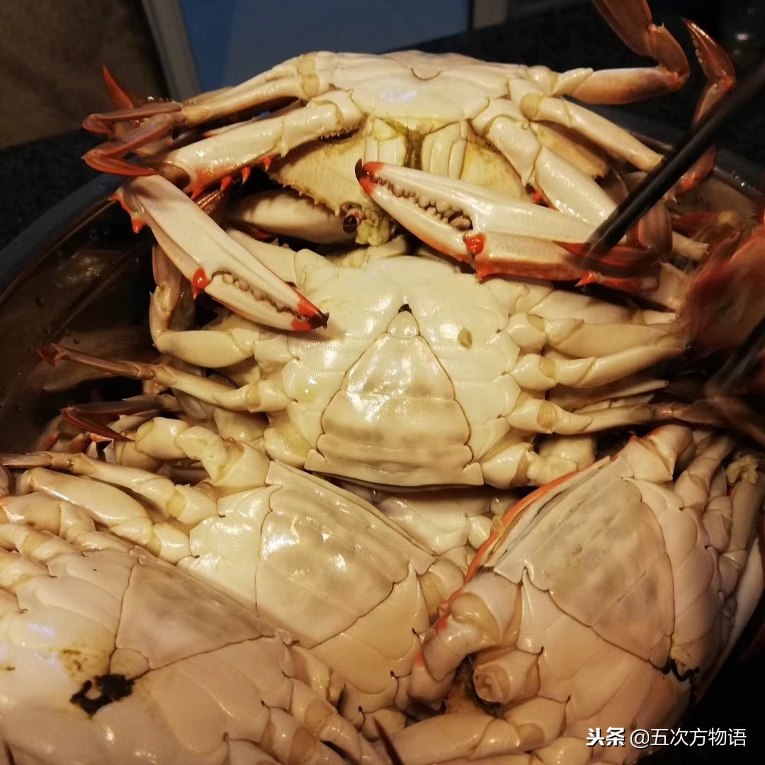 海鲜市场都有什么海蟹品种,青岛市场帝王蟹种类