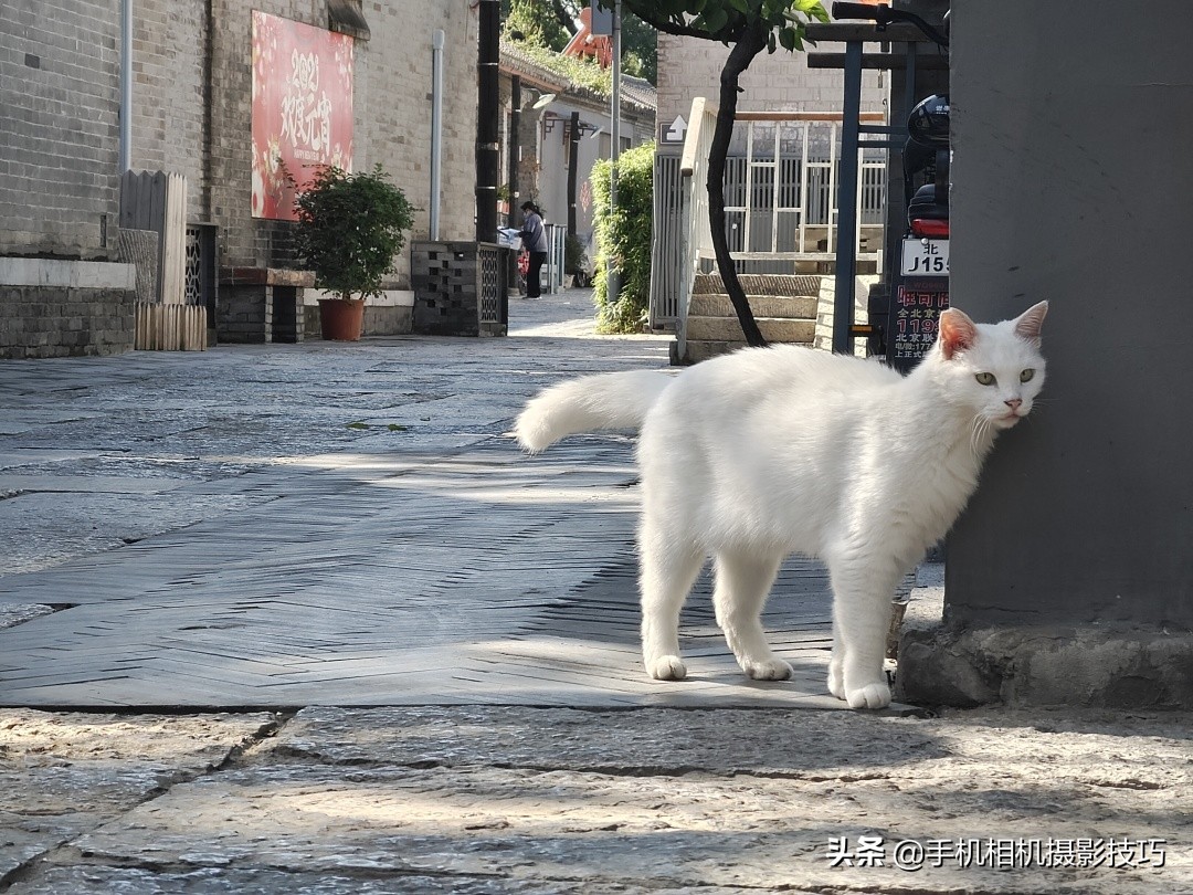 vivoX70Pro+是摄影新机皇？用完它那拉胯的长焦，我沉默了