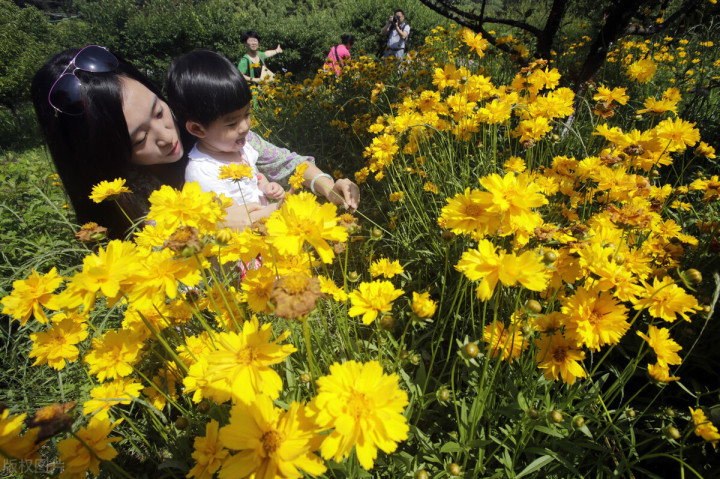 五一自驾游推荐景点武汉,武汉适合周末出游的地方
