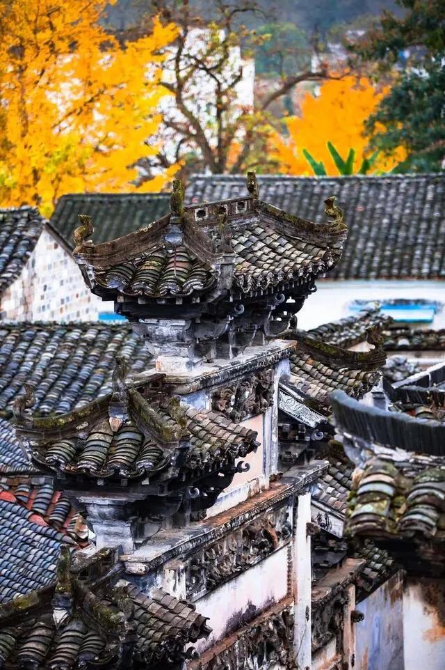 黄山秋景几月去最好,秋天几月份去黄山最好看的花海