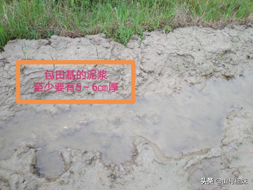 稻地有漏水怎么办,我的稻田渗水太快该咋办