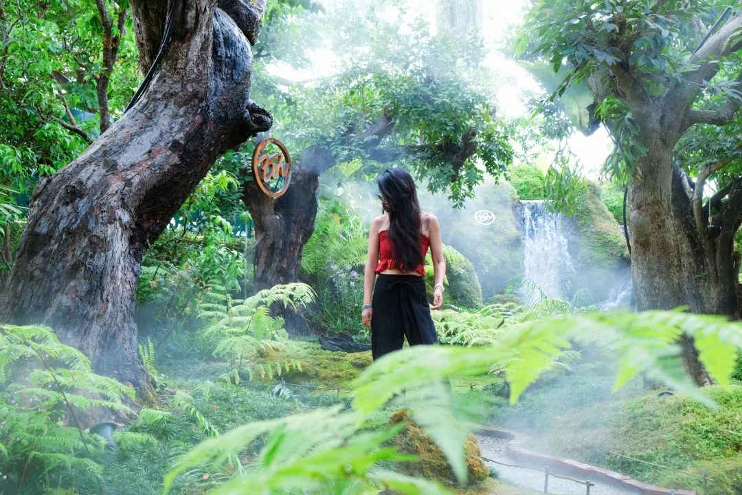 清迈美食攻略大全,最新清迈美食攻略