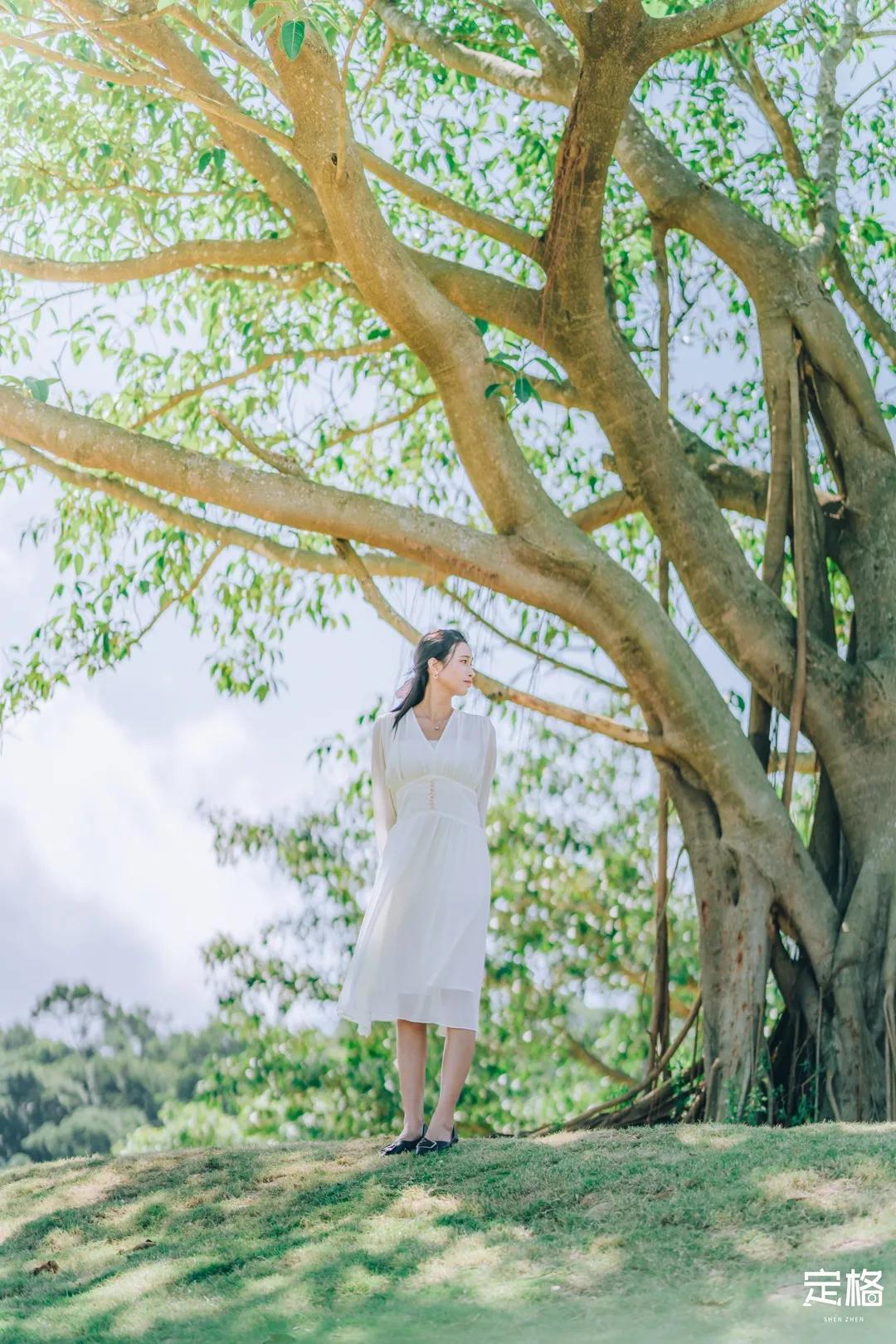 深圳周末打卡地点排行榜,深圳秋季打卡攻略