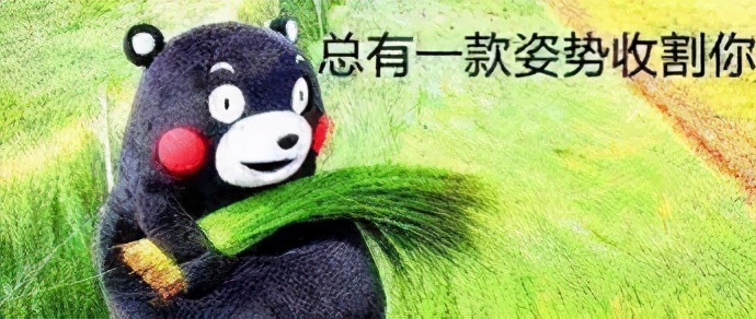 路边随便采野花,路边哪些草可以当猫草