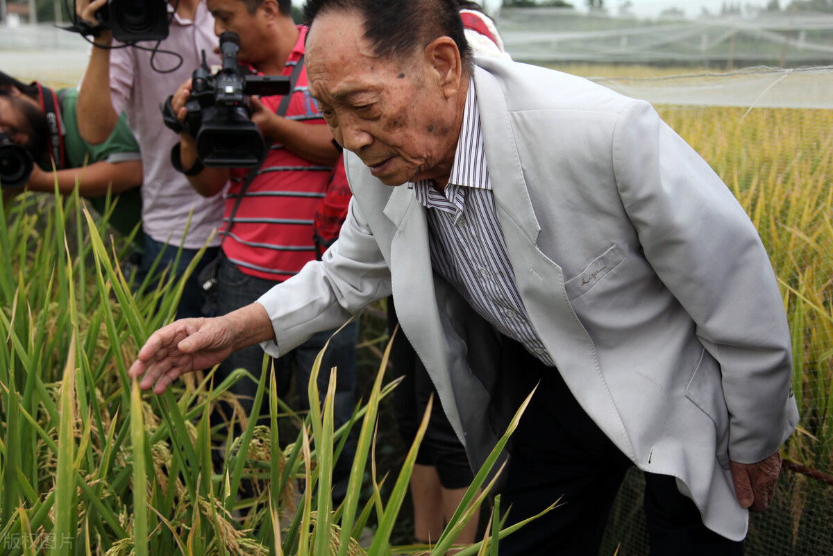 袁隆平体育成绩,袁隆平潜水比赛录像