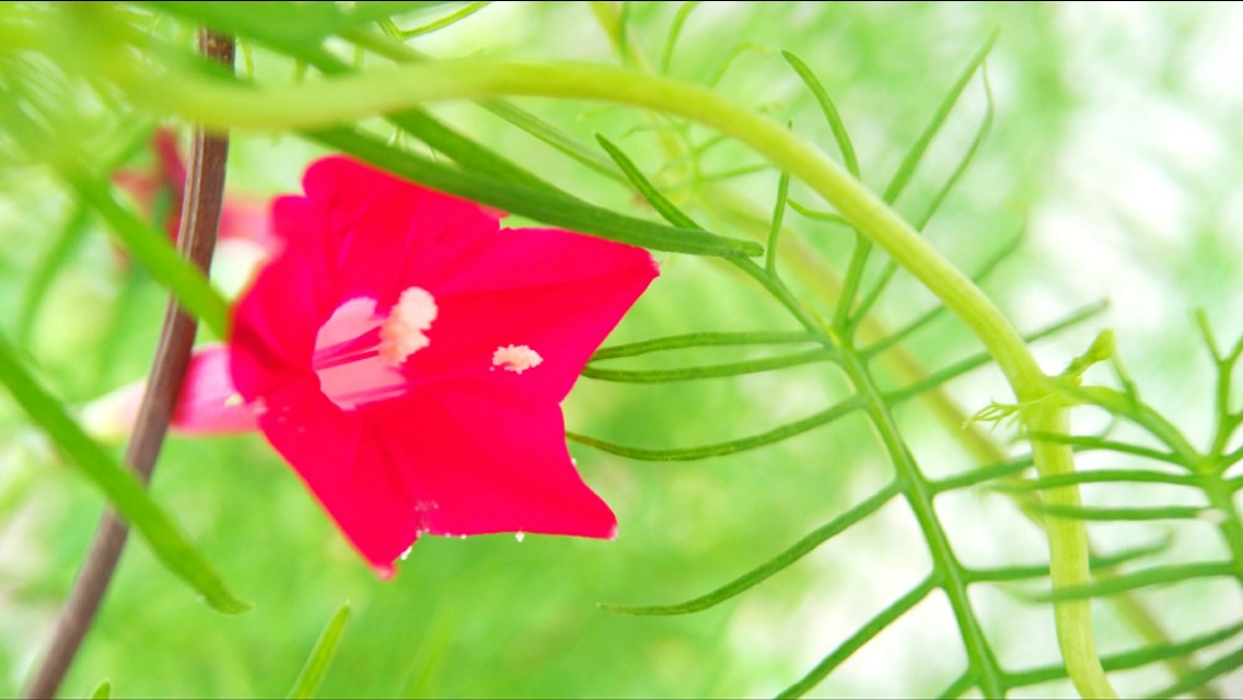 摄影的艺术魅力在哪里,摄影的艺术美感
