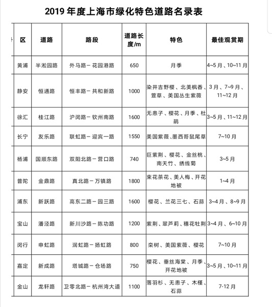 除了樱花，还有紫荆海棠红花檵木！上海多条绿化特点道路已到“最美观赏季”