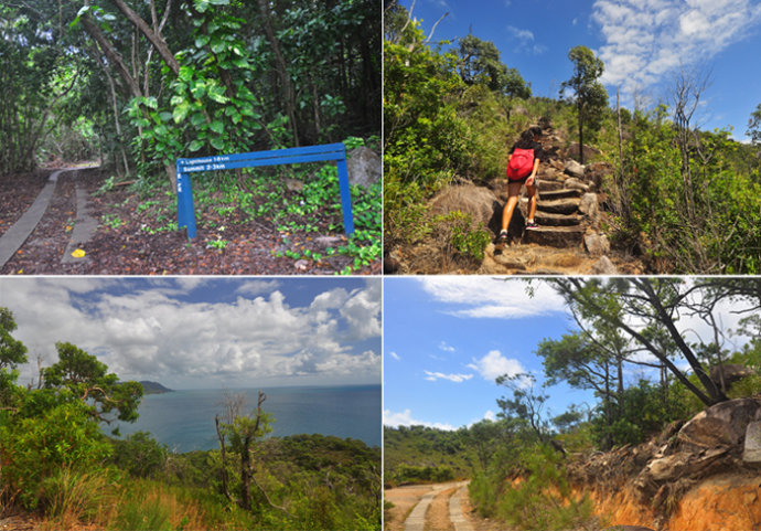 全民热遗｜大堡礁上有个翡翠岛，绝美好玩，还是海龟康复中心