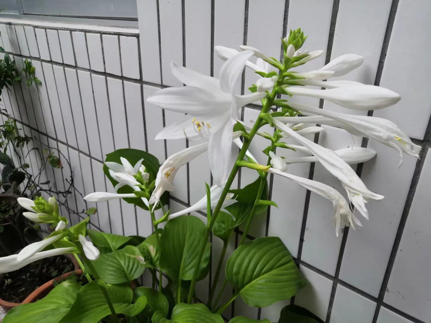 东京奥运会中国金牌夺冠回忆,2021年东京奥运会中国队金牌