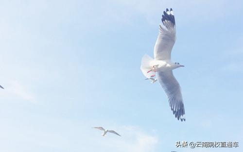 往年高考掉档是什么原因,高考掉档对下一批有什么影响