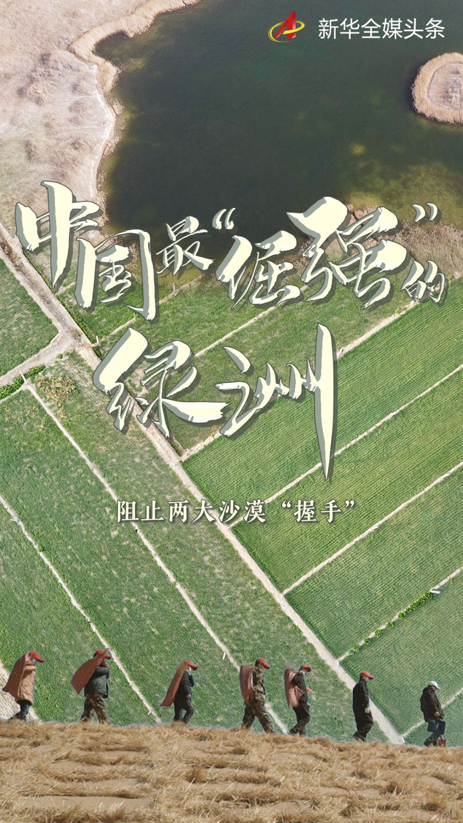 与沙漠掰了70年手腕，这块绿洲如此“倔强”