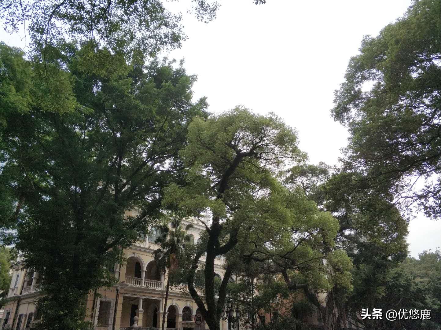 广州长隆野生动物园自驾大马戏,广州长隆野生动物园攻略马戏表演