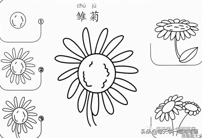 每天一幅简笔画的小教程,简笔画花朵的画法茉莉花