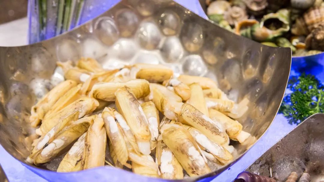 “暖男级”五星酒店自助，藏着林俊杰打卡过的正宗咖喱