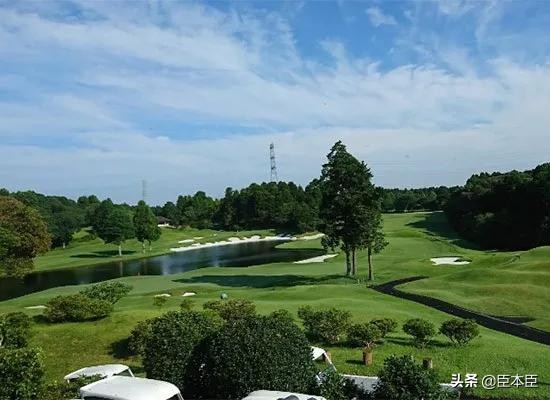 2020年东京奥运会看点大盘点,2020东京奥运会有哪些亮点