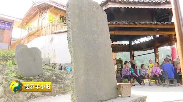 种田不用化肥农药,种田不用肥料