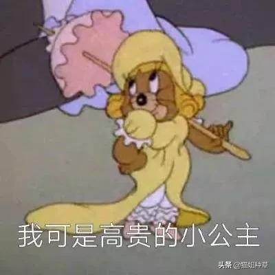 橘朵的最新联名,橘朵联名款试色