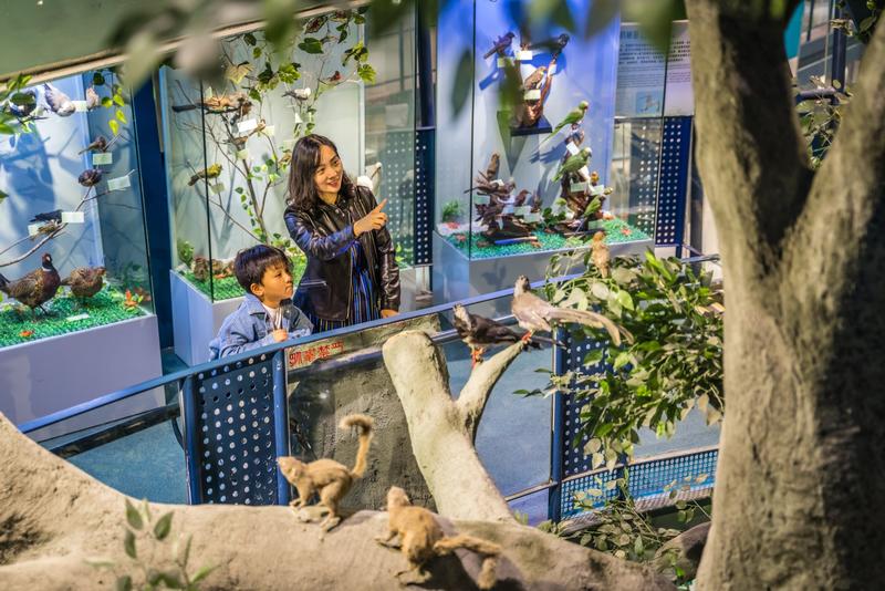 厦门冬春攻略,夏天厦门旅游攻略美食篇