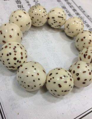 千眼菩提是怎么结的果,千眼菩提和别的菩提区别在哪