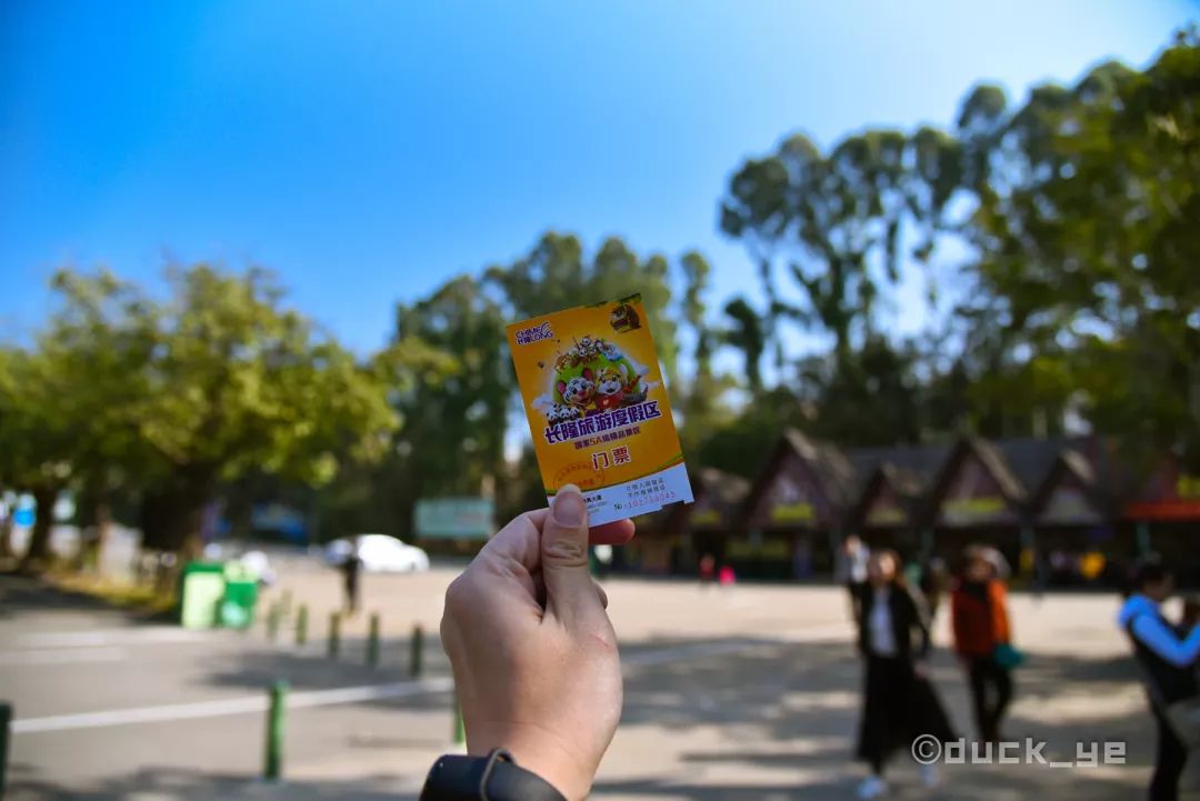 自驾长隆野生动物世界攻略,广州长隆野生动物世界旅游攻略