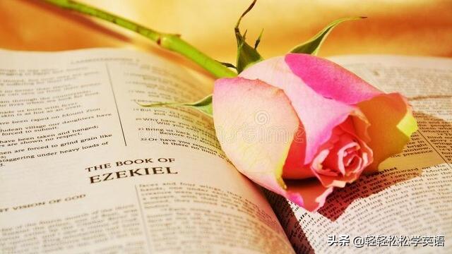 英语定语从句用法知识结构图,英语定语从句知识点总结讲解