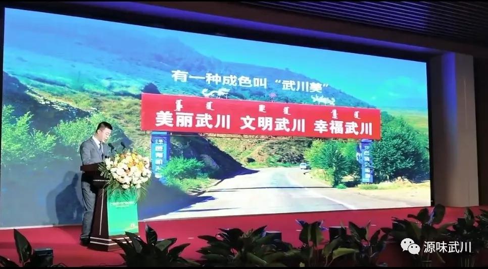 内蒙武川土豆介绍视频,武川土豆的最新行情和走势