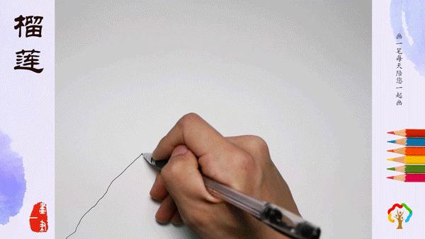 用彩铅简单画法画榴莲,彩铅画画昆虫